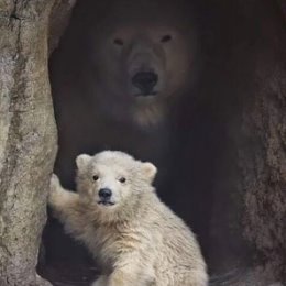 Фотография "Мощный фон."