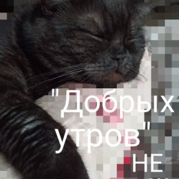 Фотография от Юлия КОчина (М)