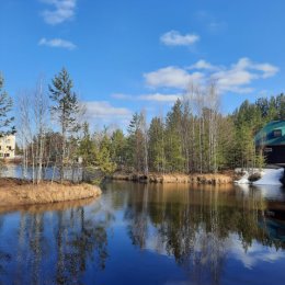 Фотография "Середина мая"