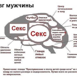 Фотография от Рустам ХХХ