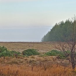 Фотография от Михаил Белёвцев