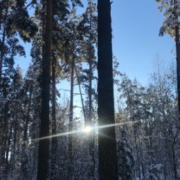 Фотография от Александр Конюхов