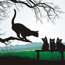 Фотография "Невероятно! Кошка по кличке Mincho, проживающая в Аргентине, взобралась на дерево и не слазила 6 лет, пока не умерла.
Все самое интересное здесь --> http://odnoklassniki.ru/game/ywnb?fromalbum"