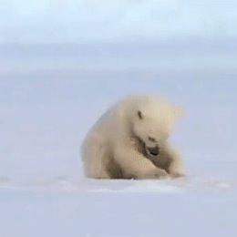 Фотография от Юра Серебряников