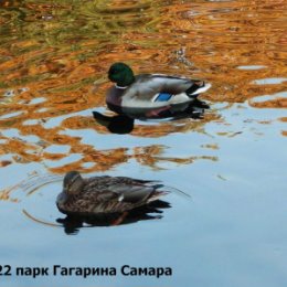 Фотография от Леонид Добролюбский