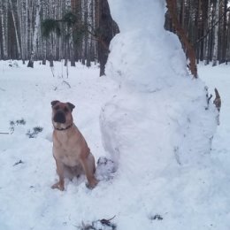 Фотография от Вадим Нуруллаев