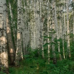 Фотография от Владимир Ворошилов