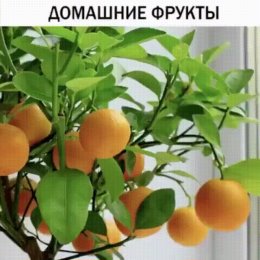 Фотография от Владимир Рудич