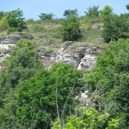 Фотография от Светлана Брюнеткина (Глубоковских