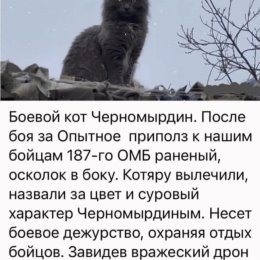 Фотография от Валенина Габова