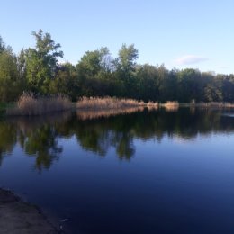 Фотография от Наталья Полякова