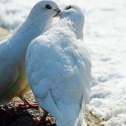 Фотография "Boş dünya"