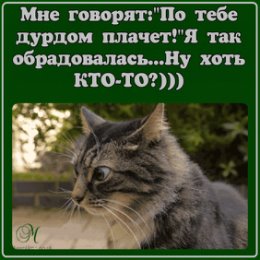 Фотография от ღКристи ღ