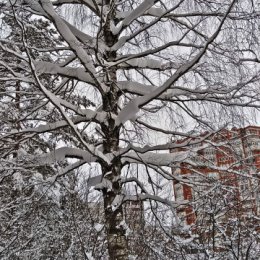 Фотография от Александр Милютин