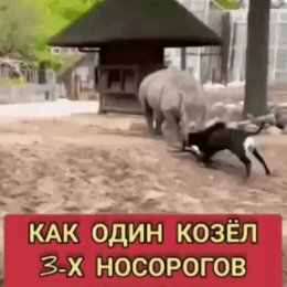 Фотография от Светлана Крупенникова