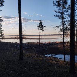 Фотография от Андрей Самарский