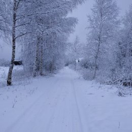 Фотография от Татьяна Малышева