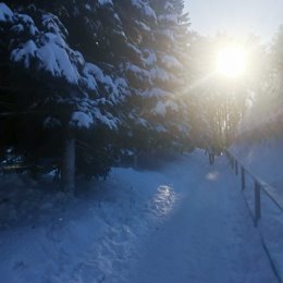 Фотография "Зима в Протвино
"