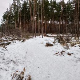 Фотография от Константин Мочалов