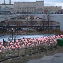 Фотография от нина зубова(журавлева)