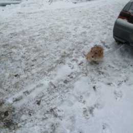 Фотография от Сергей Сулимов