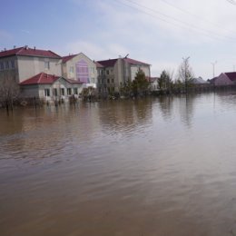 Фотография "1 апреля 2024 года Западный Казахстан г.Уральск п.Подстёпное(Аэропорт Уральска)"