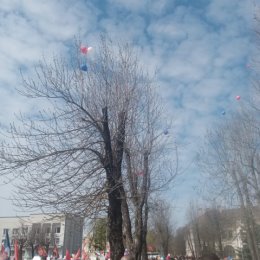 Фотография от Наталия Аверьянова