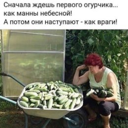 Фотография от МИР КРАСОТЫ