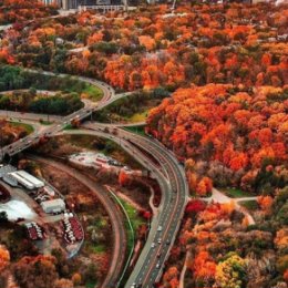 Фотография "Осень в Торонто "