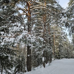 Фотография "Удивительный мир природы! "