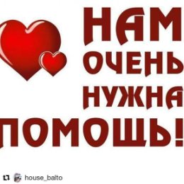 Фотография "#Repost @house_balto (@get_repost)
・・・
Ув.Подписчики!Вот,вот предстоит установка забора в приюте.Собираем материал.Дело это дорогостоящее и стараемся экономить на всем т.к.стесняны в средствах.Всего у нас на забор есть 110 000тг,а надо 160 000тг.это по самым скромным посчетам.Может у кого то во дворе есть уголки железные,труба металическая,профоист и все это вам не нужно.Мы с удовольствием заберем.Первостепенное это отгородиться от назойливых соседей,вторая задача выгул собак т.к.сидеть в вольере они устали и хотят бегать.Ждем ваших отзывов.Пишите нам.🙏🐕🐈"