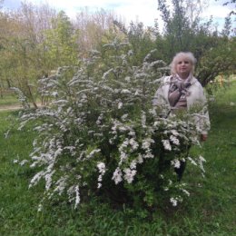 Фотография от Наталья Сорокина