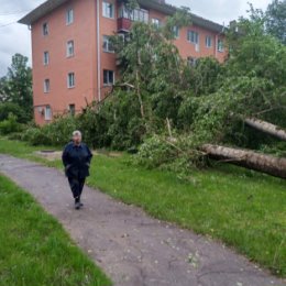 Фотография от Михаил Пашков