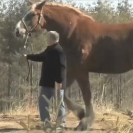 Фотография от суйун Егенов