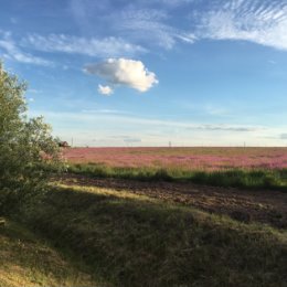 Фотография от Ольга Иванова (Лагутина)