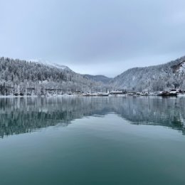 Фотография от михаил власенко