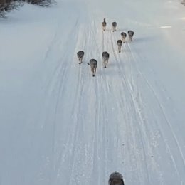 Фотография от Галина Калиновская(Рожкова)