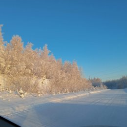 Фотография от Сергей Гомоляко