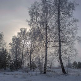 Фотография от Дмитрий Окушко