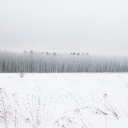 Фотография от Лариса Макарова