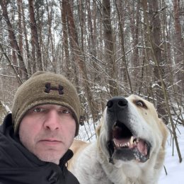 Фотография "Дома ! Хан решил показать зубки ! Не хилые такие зубки )"