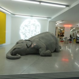 Фотография "Слоненок в центре Женевы"