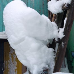 Фотография "Снежный человчик "