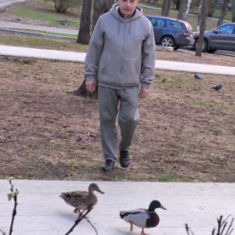 Фотография "Гуляю с утками по своему бульвару в конце апреля с. г. "