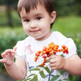 Фотография от Владимир Кузубов