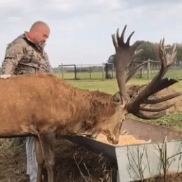 Фотография от Александр Абрамов