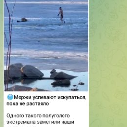 Фотография "Полуголый экстримал 🤔🤭🤭..Так меня ещё не называли))"