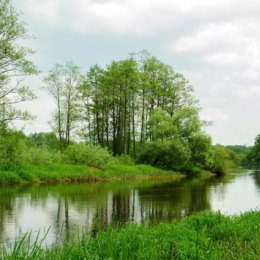 Фотография от Галина Масленникова Лясковская