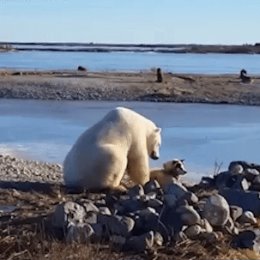 Фотография от николай забегаев