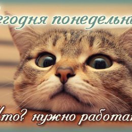 Фотография "Посмотрите, какая замечательная открытка! http://odnoklassniki.ru/app/card?card_id=47981"